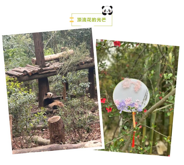人力成果截圖.png